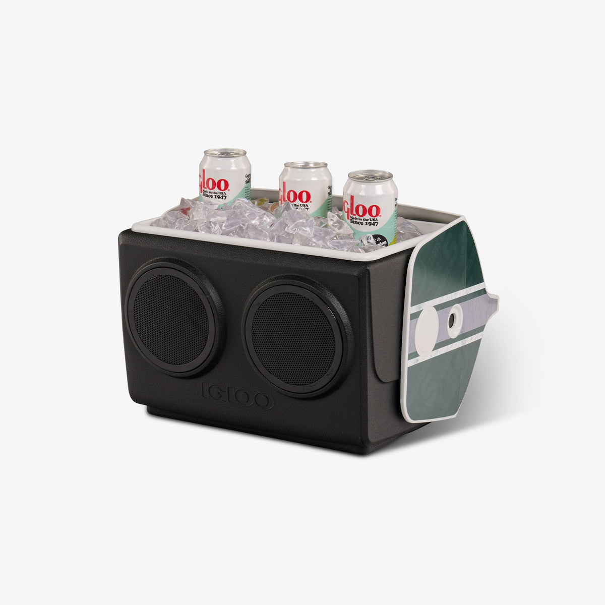 michigan-state-university-kooltunes-y1 00027730-P1.jpg