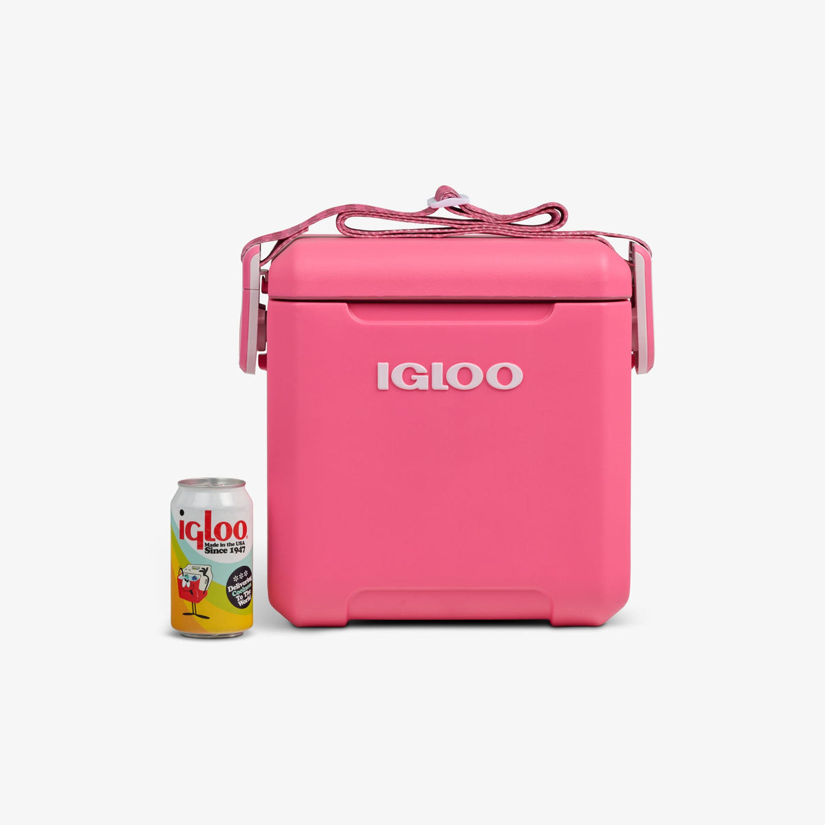 tag-along-too-remix-cooler-n6 00033199-P_861a5cd2-f15c-4217-a471-e33cc3890d9e.jpg