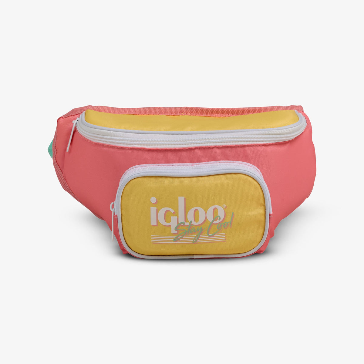 retro-fanny-pack-f1 00066660-F.jpg