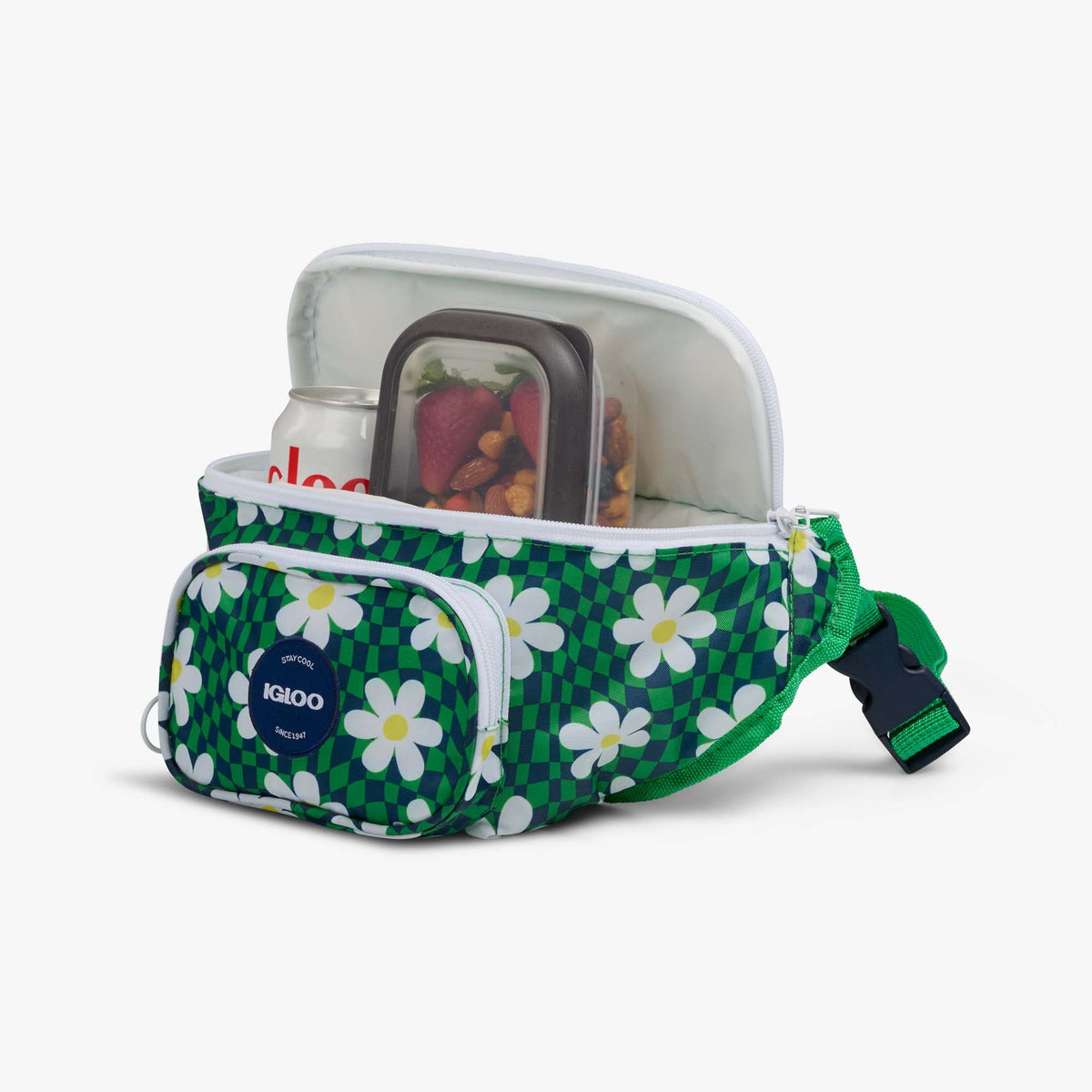 retro-fanny-pack-f1 00067206-P1.jpg