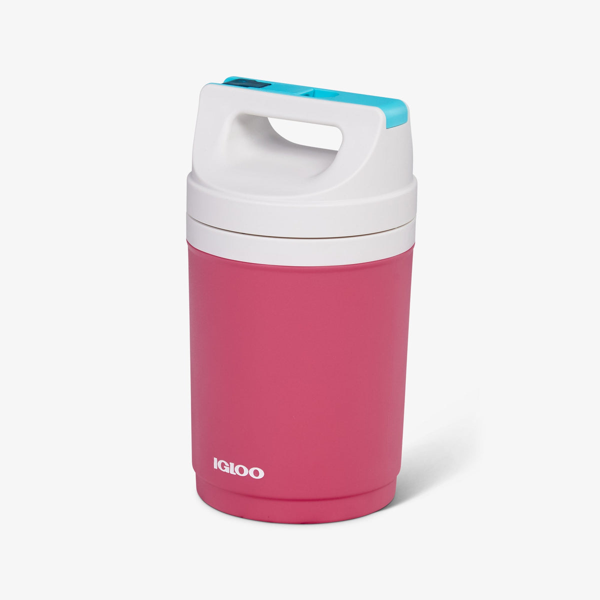 retro-playmate-half-gallon-jug-t7 00070862-H1.jpg